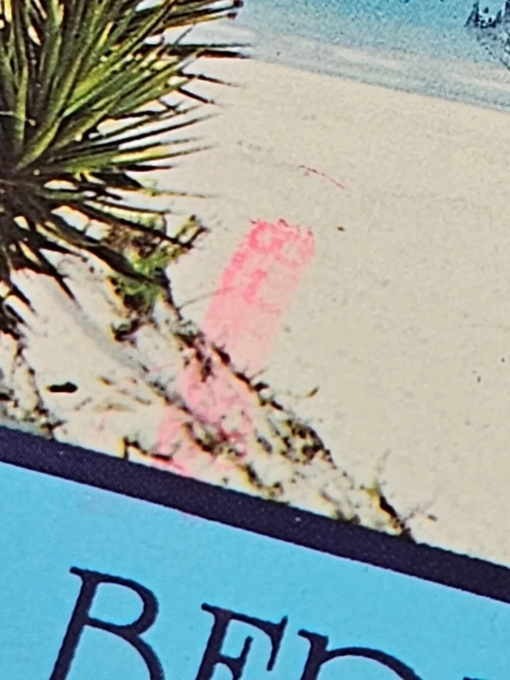 Bermuda Postcard
